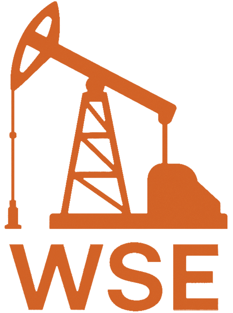 WSE Logo